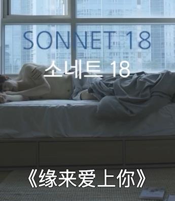 缘来爱上你海报